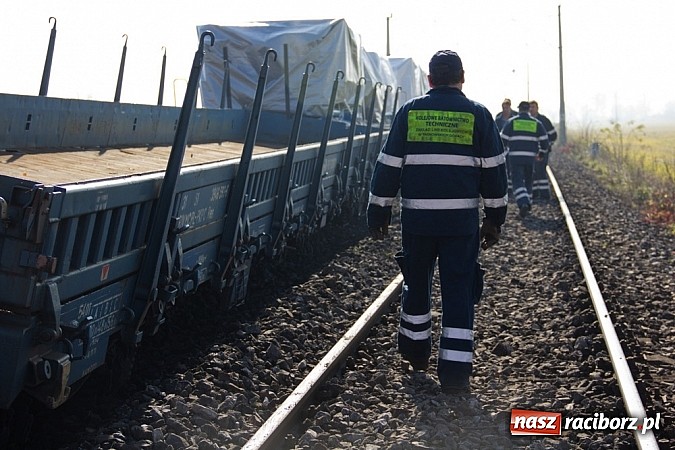 Zdjęcie w galerii na portalu naszraciborz.pl: Dwa wagony towarowe wypadły z torów na trasie Racibórz-Chałupki wiadomości z regionu