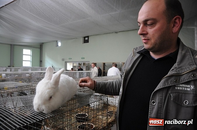 Zdjęcie w galerii na portalu naszraciborz.pl: Drobny inwentarz i ptactwo na wystawie w Pietrowicach Wielkich wiadomości z regionu