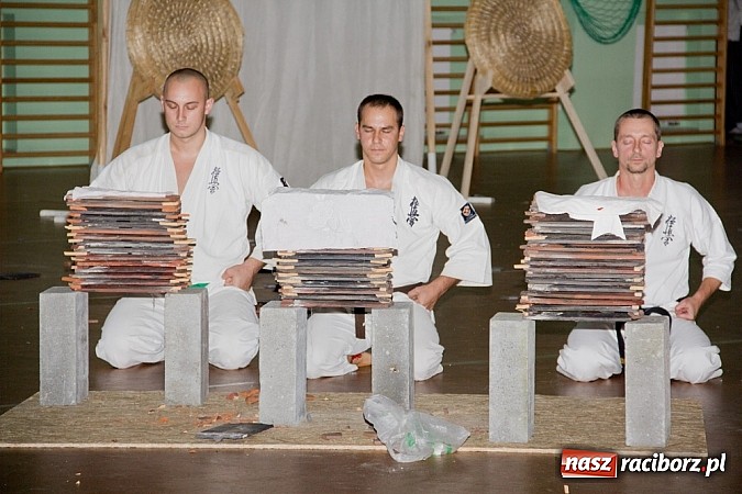 Zdjęcie w galerii na portalu naszraciborz.pl: Budo Gala 2014 w raciborskiej PWSZ  wiadomości z regionu