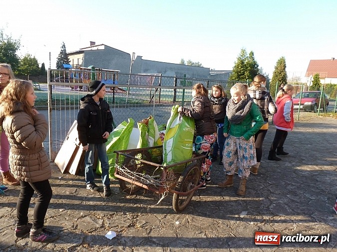 Zdjęcie w galerii na portalu naszraciborz.pl: Zbiórka makulatury w ZSP Borucinie wiadomości z regionu