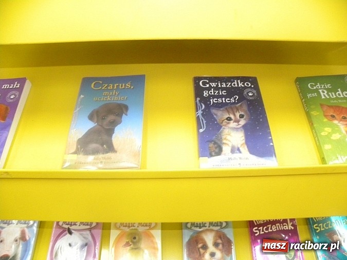 Zdjęcie w galerii na portalu naszraciborz.pl: Zaopiekuj się mną wiadomości z regionu