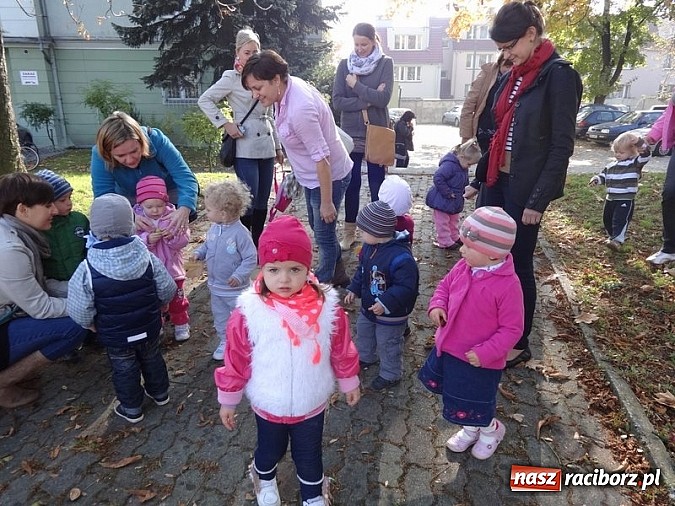 Zdjęcie w galerii na portalu naszraciborz.pl: W Strzesze ruszyła trzecia grupa Fiku-miku wiadomości z regionu
