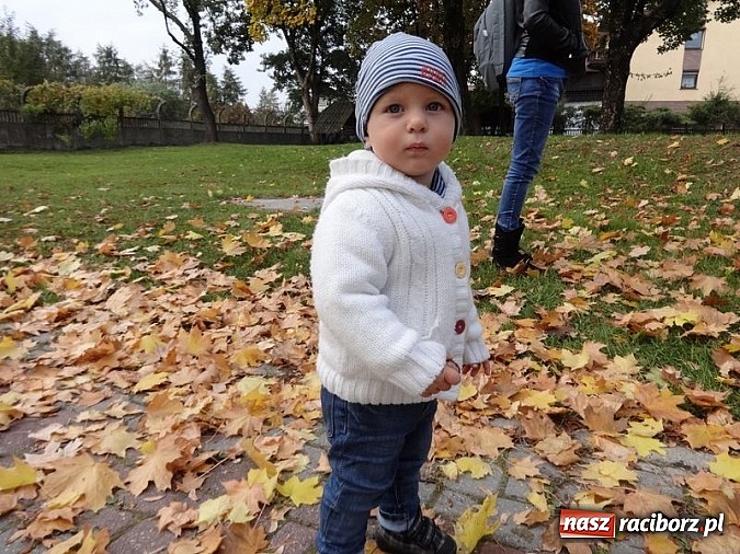 Zdjęcie w galerii na portalu naszraciborz.pl: W Strzesze ruszyła trzecia grupa Fiku-miku wiadomości z regionu