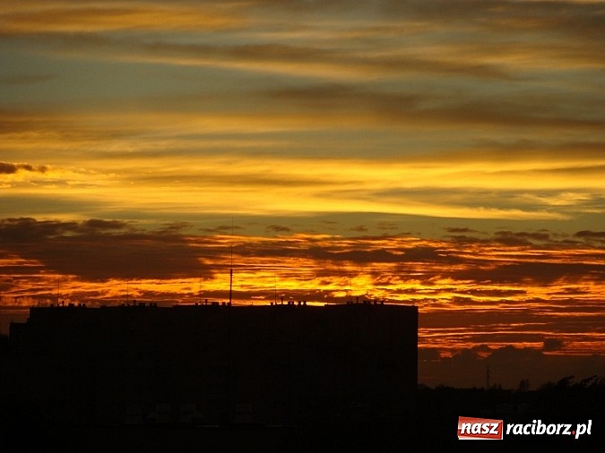 Zdjęcie w galerii na portalu naszraciborz.pl: Magiczna raciborska jesień wiadomości z regionu
