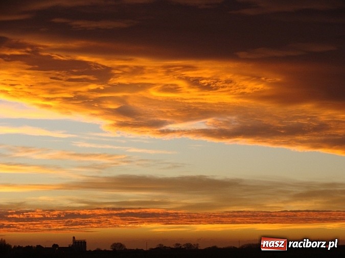 Zdjęcie w galerii na portalu naszraciborz.pl: Magiczna raciborska jesień wiadomości z regionu