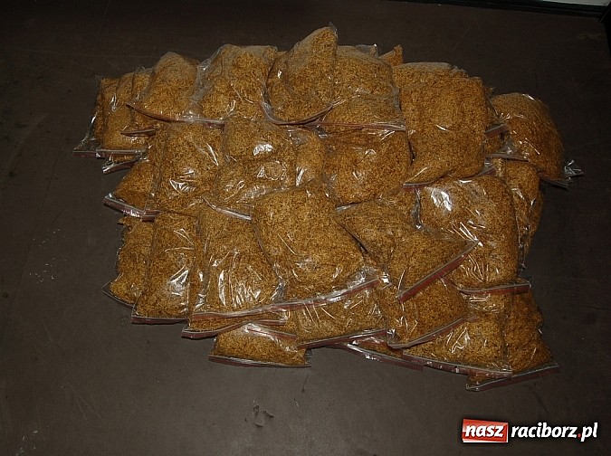 Zdjęcie w galerii na portalu naszraciborz.pl: 40 kg nielegalnej krajanki tytoniowej wiadomości z regionu