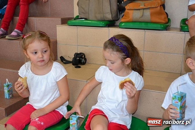 Zdjęcie w galerii na portalu naszraciborz.pl: Spartakiada przedszkolaków w Rudniku wiadomości z regionu