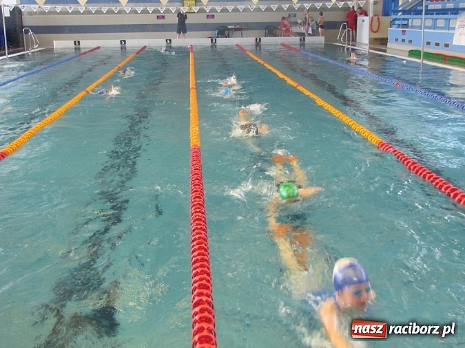 Zdjęcie w galerii na portalu naszraciborz.pl: Wskocz do basenu ZSOMS! Trwa maraton wiadomości z regionu