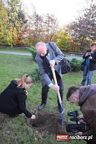Zdjęcie w galerii na portalu naszraciborz.pl: Gmina Krzyżanowice z I nagrodą za najbardziej innowacyjny mikroprojekt w Euroregionie Silesia. Wyróżnienie dla Raciborza wiadomości z regionu