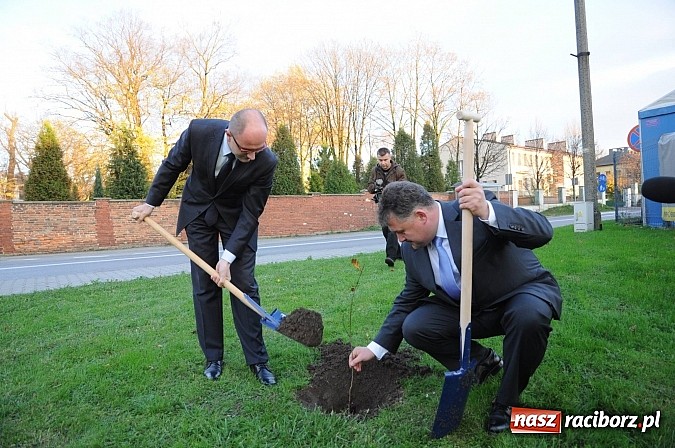 Zdjęcie w galerii na portalu naszraciborz.pl: Gmina Krzyżanowice z I nagrodą za najbardziej innowacyjny mikroprojekt w Euroregionie Silesia. Wyróżnienie dla Raciborza wiadomości z regionu