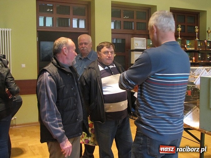 Zdjęcie w galerii na portalu naszraciborz.pl: Pierzaste piękności do niedzieli w RCK-u wiadomości z regionu