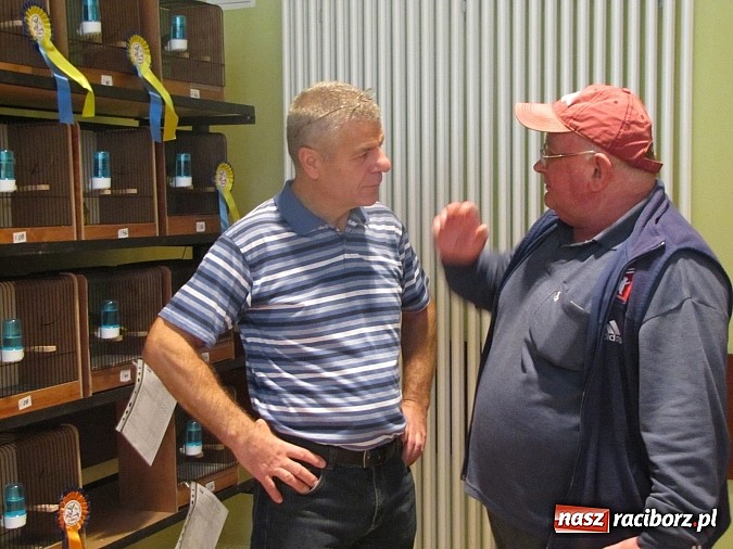 Zdjęcie w galerii na portalu naszraciborz.pl: Pierzaste piękności do niedzieli w RCK-u wiadomości z regionu