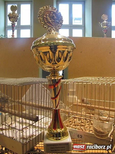 Zdjęcie w galerii na portalu naszraciborz.pl: Pierzaste piękności do niedzieli w RCK-u wiadomości z regionu