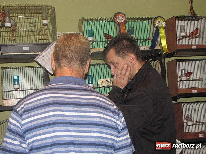 Zdjęcie w galerii na portalu naszraciborz.pl: Pierzaste piękności do niedzieli w RCK-u wiadomości z regionu