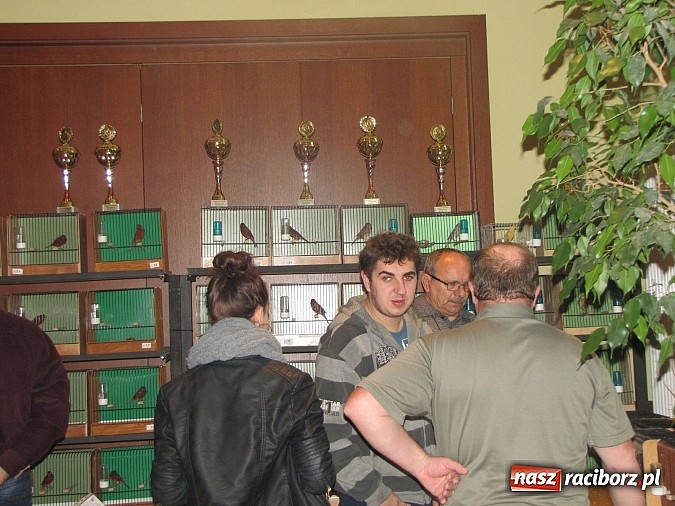 Zdjęcie w galerii na portalu naszraciborz.pl: Pierzaste piękności do niedzieli w RCK-u wiadomości z regionu