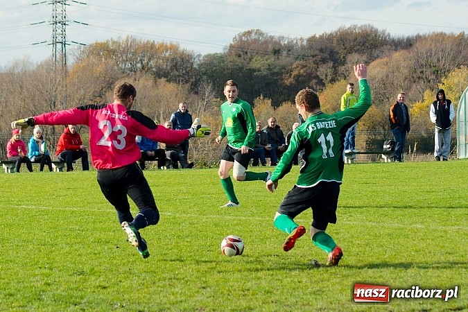 Zdjęcie w galerii na portalu naszraciborz.pl: Brzezie na kolanach. Mury Zameczku Czernica nie do sforsowania wiadomości z regionu
