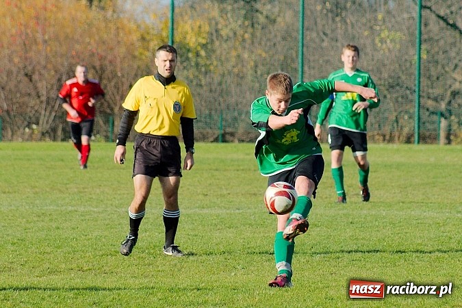 Zdjęcie w galerii na portalu naszraciborz.pl: Brzezie na kolanach. Mury Zameczku Czernica nie do sforsowania wiadomości z regionu