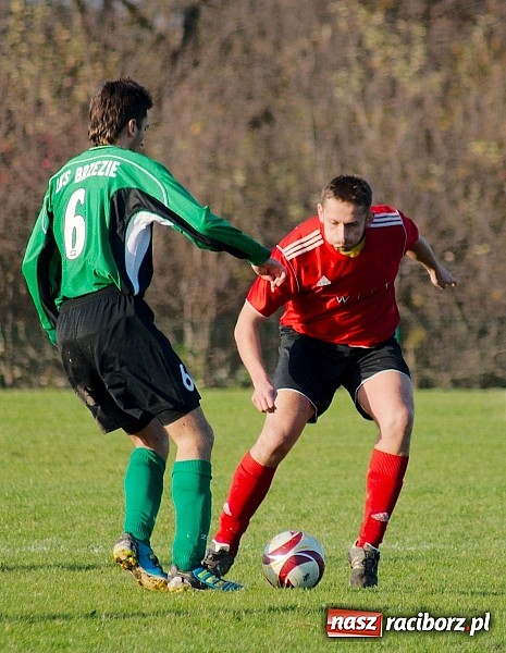 Zdjęcie w galerii na portalu naszraciborz.pl: Brzezie na kolanach. Mury Zameczku Czernica nie do sforsowania wiadomości z regionu
