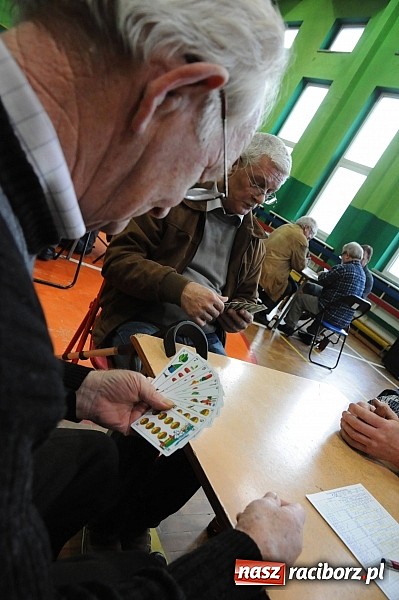 Zdjęcie w galerii na portalu naszraciborz.pl: Raciborskie zawody Grand Prix Okręgu w skacie sportowym wiadomości z regionu