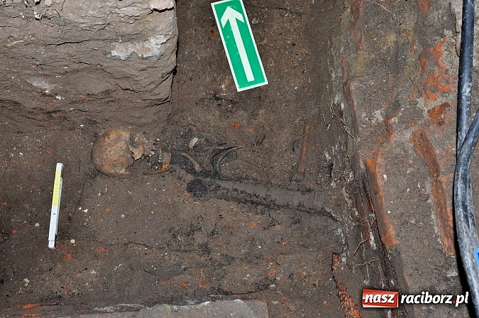 Zdjęcie w galerii na portalu naszraciborz.pl: Na Skwerze Ks. Stefana Pieczki odkryto ludzkie pochówki wiadomości z regionu