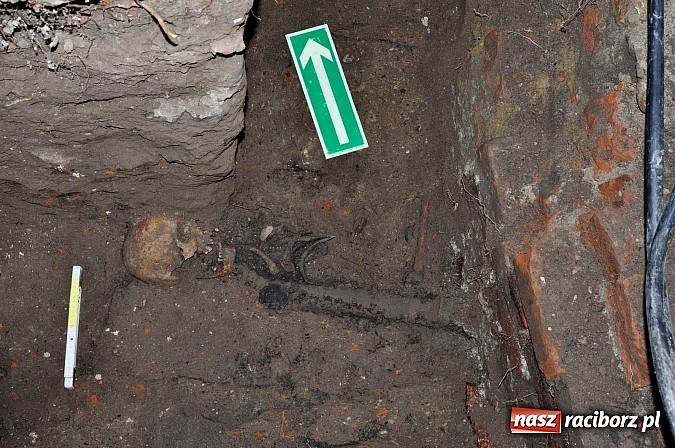 Zdjęcie w galerii na portalu naszraciborz.pl: Na Skwerze Ks. Stefana Pieczki odkryto ludzkie pochówki wiadomości z regionu