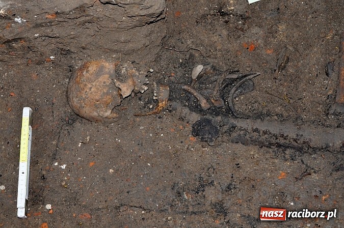 Zdjęcie w galerii na portalu naszraciborz.pl: Na Skwerze Ks. Stefana Pieczki odkryto ludzkie pochówki wiadomości z regionu