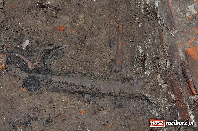 Zdjęcie w galerii na portalu naszraciborz.pl: Na Skwerze Ks. Stefana Pieczki odkryto ludzkie pochówki wiadomości z regionu