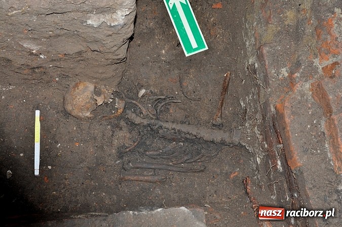 Zdjęcie w galerii na portalu naszraciborz.pl: Na Skwerze Ks. Stefana Pieczki odkryto ludzkie pochówki wiadomości z regionu