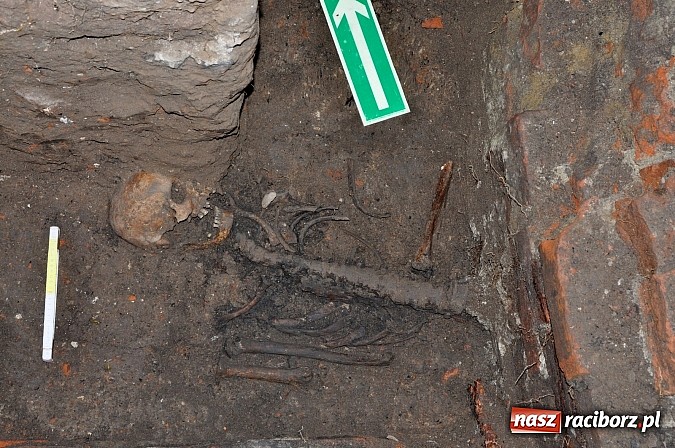 Zdjęcie w galerii na portalu naszraciborz.pl: Na Skwerze Ks. Stefana Pieczki odkryto ludzkie pochówki wiadomości z regionu