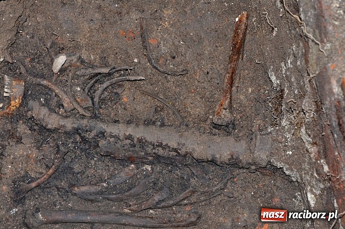 Zdjęcie w galerii na portalu naszraciborz.pl: Na Skwerze Ks. Stefana Pieczki odkryto ludzkie pochówki wiadomości z regionu