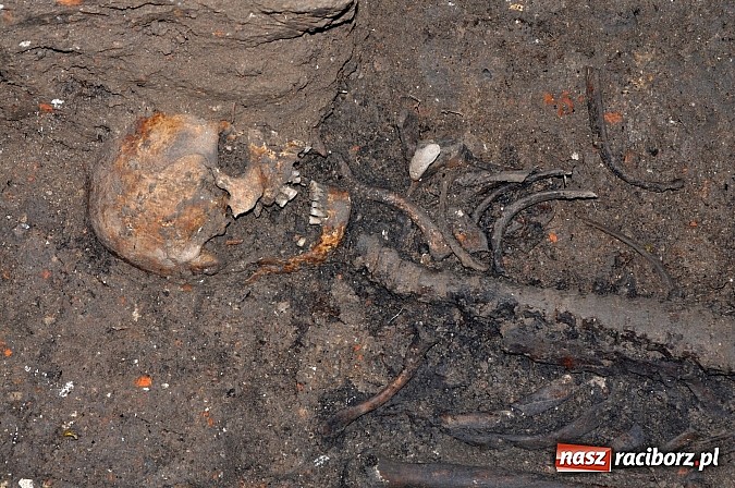 Zdjęcie w galerii na portalu naszraciborz.pl: Na Skwerze Ks. Stefana Pieczki odkryto ludzkie pochówki wiadomości z regionu