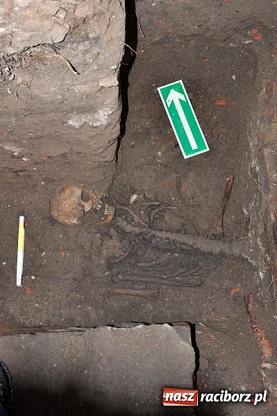 Zdjęcie w galerii na portalu naszraciborz.pl: Na Skwerze Ks. Stefana Pieczki odkryto ludzkie pochówki wiadomości z regionu