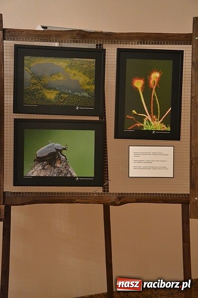 Zdjęcie w galerii na portalu naszraciborz.pl: Sztuka to zrobić zdjęcie i umieć o nim opowiedzieć wiadomości z regionu