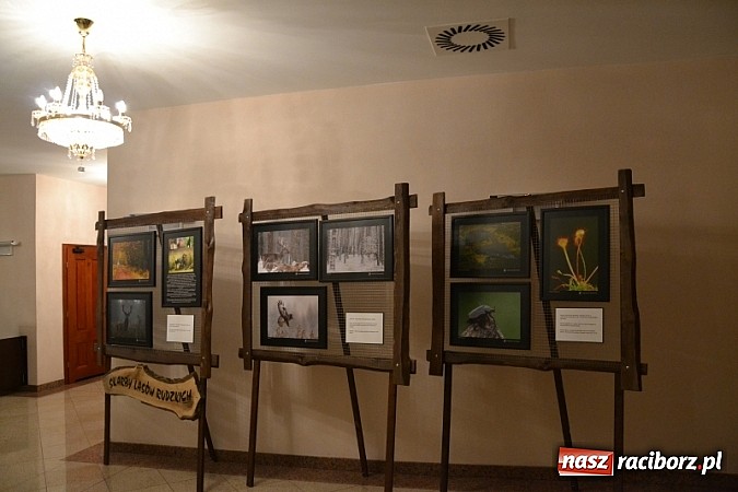 Zdjęcie w galerii na portalu naszraciborz.pl: Sztuka to zrobić zdjęcie i umieć o nim opowiedzieć wiadomości z regionu