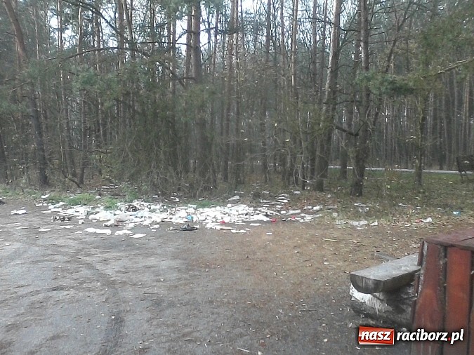 Zdjęcie w galerii na portalu naszraciborz.pl: Rewolucja śmieciowa w Szymocicach wiadomości z regionu