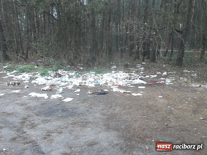 Zdjęcie w galerii na portalu naszraciborz.pl: Rewolucja śmieciowa w Szymocicach wiadomości z regionu