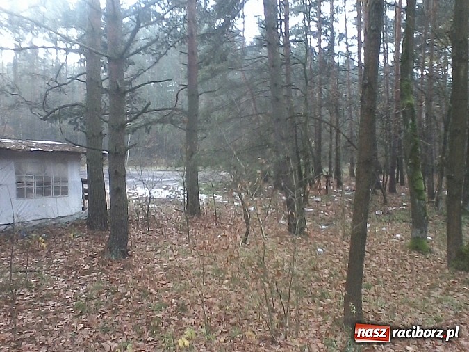 Zdjęcie w galerii na portalu naszraciborz.pl: Rewolucja śmieciowa w Szymocicach wiadomości z regionu