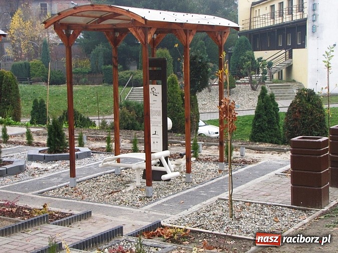 Zdjęcie w galerii na portalu naszraciborz.pl: Siłownia pod chmurką strzałem w dziesiątkę wiadomości z regionu