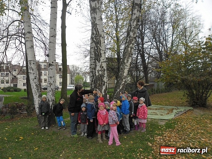 Zdjęcie w galerii na portalu naszraciborz.pl: Maluchy z Chałupek z przyrodą są za pan brat wiadomości z regionu