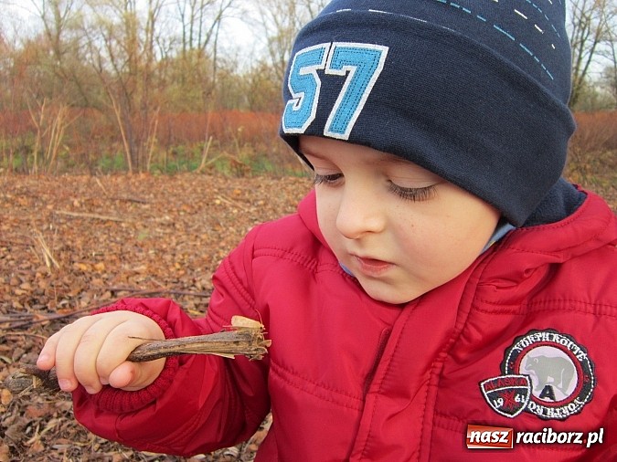 Zdjęcie w galerii na portalu naszraciborz.pl: Maluchy z Chałupek z przyrodą są za pan brat wiadomości z regionu
