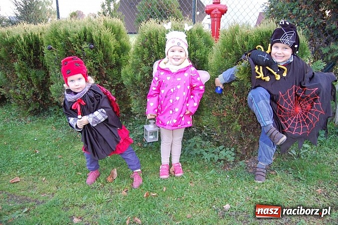 Zdjęcie w galerii na portalu naszraciborz.pl: Maluchy z Chałupek z przyrodą są za pan brat wiadomości z regionu