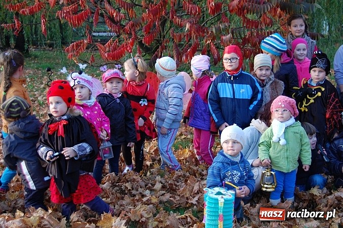 Zdjęcie w galerii na portalu naszraciborz.pl: Maluchy z Chałupek z przyrodą są za pan brat wiadomości z regionu