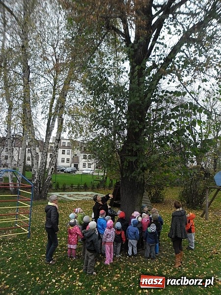 Zdjęcie w galerii na portalu naszraciborz.pl: Maluchy z Chałupek z przyrodą są za pan brat wiadomości z regionu