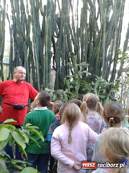 Zdjęcie w galerii na portalu naszraciborz.pl: Afrykańskie klimaty w Przedszkolu nr 17 wiadomości z regionu