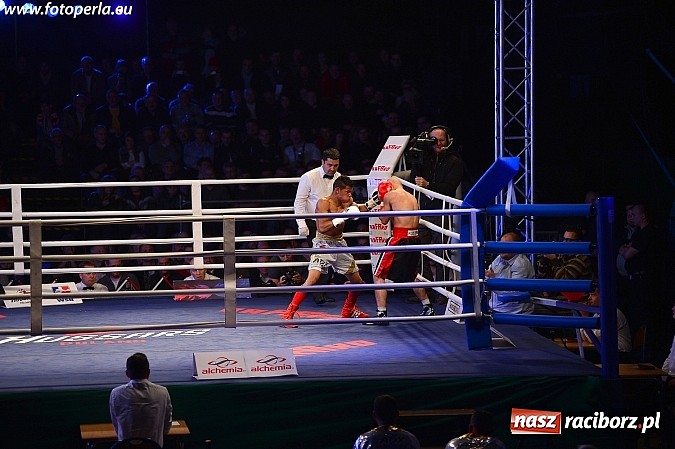 Zdjęcie w galerii na portalu naszraciborz.pl: Rafako liczy na wielką karierę Jabłońskiego - nadziei polskiego boksu wiadomości z regionu