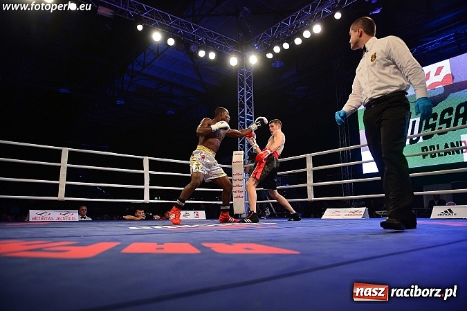 Zdjęcie w galerii na portalu naszraciborz.pl: Rafako liczy na wielką karierę Jabłońskiego - nadziei polskiego boksu wiadomości z regionu