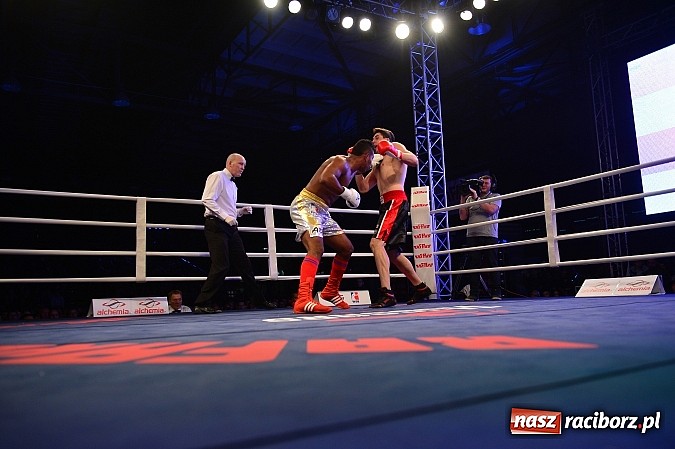 Zdjęcie w galerii na portalu naszraciborz.pl: Rafako liczy na wielką karierę Jabłońskiego - nadziei polskiego boksu wiadomości z regionu