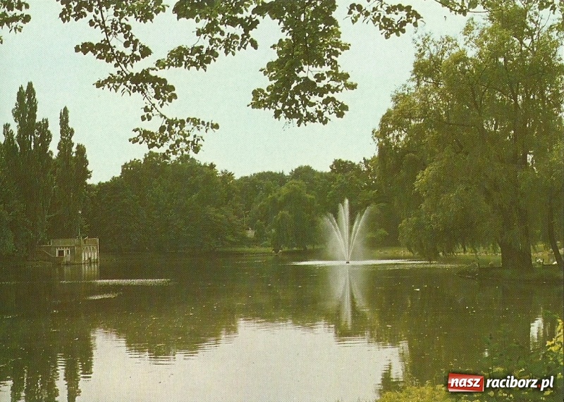 Zdjęcie w galerii na portalu naszraciborz.pl: Hej kudłaty, kup se waty. Kim był słynny Arafat z ulicy Długiej w Raciborzu?  wiadomości z regionu