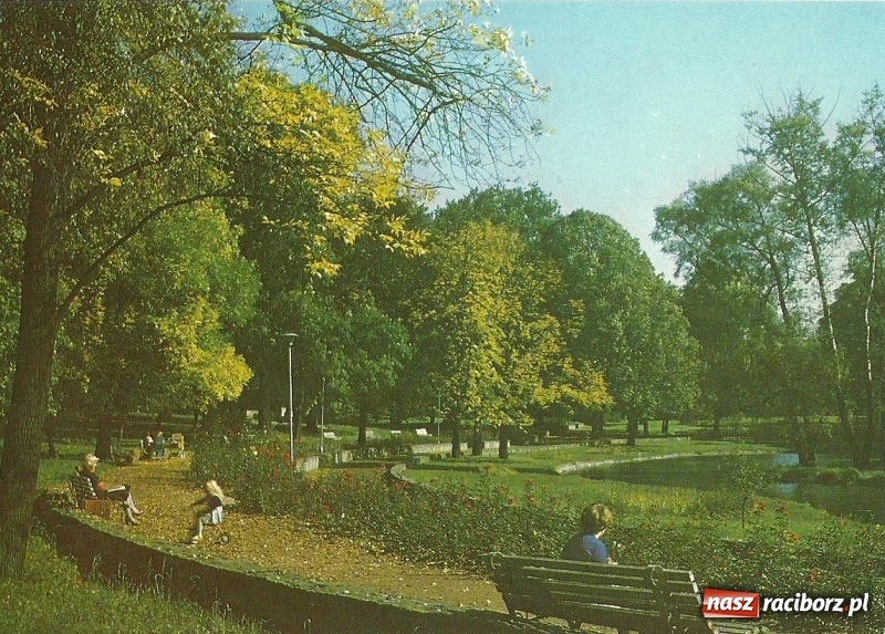 Zdjęcie w galerii na portalu naszraciborz.pl: Hej kudłaty, kup se waty. Kim był słynny Arafat z ulicy Długiej w Raciborzu?  wiadomości z regionu