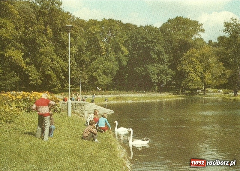 Zdjęcie w galerii na portalu naszraciborz.pl: Hej kudłaty, kup se waty. Kim był słynny Arafat z ulicy Długiej w Raciborzu?  wiadomości z regionu